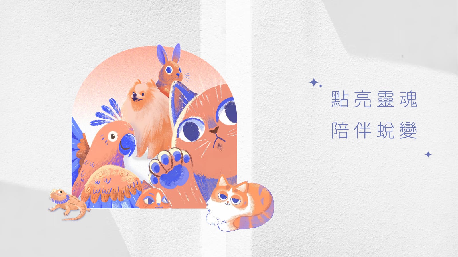 iiii.NOW 尤莎連接中